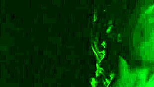 omg ludivine sagnier lookin so hot in swimming pool 2003 scene