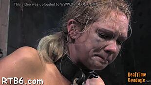 A tough lass endures electrifying nipple torment with sloppy blowjob