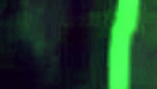 Girl Next Door Amanda Jones Becomes A Slutty Slave In BDSM With Neighbors