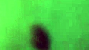 wife takes the party to the bedroom for some muff diving