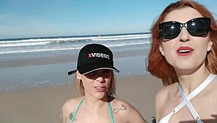 tudo que aconteceu - pernocas - barbara alves - joy cardozo