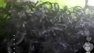 spanish black prostitute masturbates live on instagram for viewers.