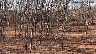 Complete Video Available On Red Or Paid Platforms