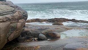 Amateurs fuck wildly on deserted trail with big cocks and natural tits