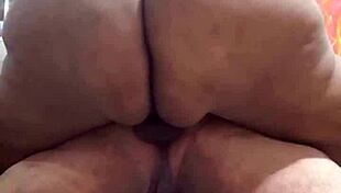 Bold fucking with transsexual amateurs.