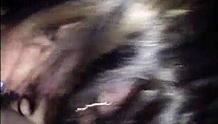 7820Roxie Blowjob Clip With Amateur Action And Cum Finish