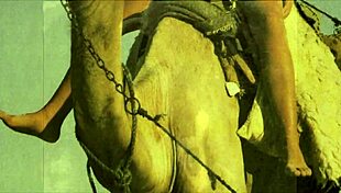 dark lantern entertainment presents vintage women with animals in retro style 😊