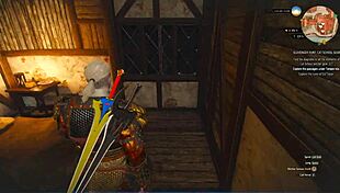 The Witcher Into The Water Scene