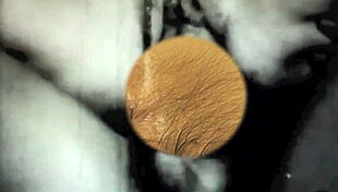 Dark Lantern Entertainment zeigt Vintage haarige Muschi Nahaufnahmen aus geheimen Geständnissen