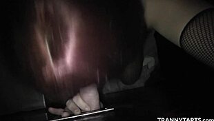 T-Girls Teasing And Pleasing Cocks At Gloryholes