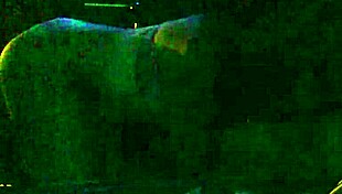 Girlfriend gives blowjob to friend in bold action