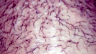 My delicious big-assed woman with hairy features in homemade setting