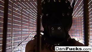 Sexy dani daniels a trapped bitch inside a dog cage