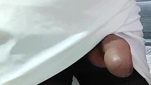 Sofia Natalia Colin has sex with shemale and cum