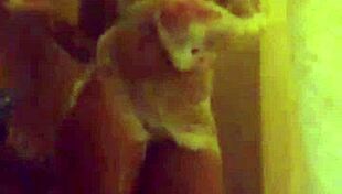 Watch These Webcam Sluts Perform!