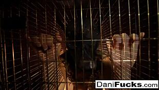 Sexy dani daniels a trapped bitch inside a dog cage