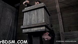 Extreme T Excites Hottie With BDSM Toys!