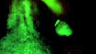 Horny Guy Masturbates His Cock While Watching Lesbian Porn Cumshot