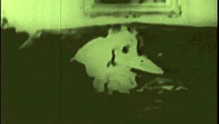 Two Centuries of Vintage Pornography? Wow, What a Wild Ride Through Time!