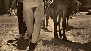 Vintage porn: a hairy pussy and a wild encounter with a horse