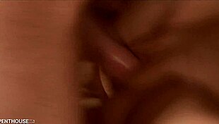 Penthousegold Com - Busty Blonde Brooke Banner Sucks Cock And Bends Over For Doggystyle Pounding