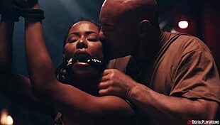 our top pick nominations at the 2024 avn awards - digital playground