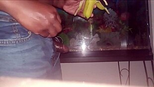 Monkey Loves Banana And How To Wear A Tie Properly