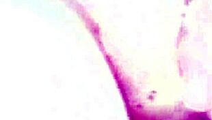 Vymrdan� Mamina Enjoys Big Cock With Amateurs