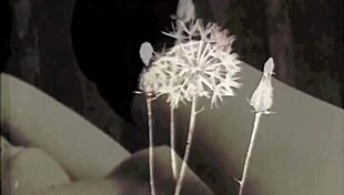 My secret life has changed with hairy pussy adventures