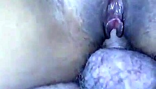 i sucked him and rode until he came inside