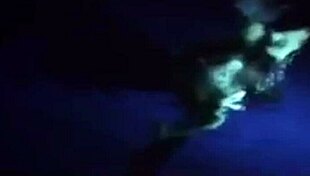 no hassle night with sexy bikini girl