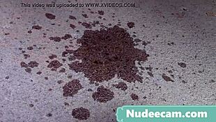 top pornstar performs in hardcore scenes