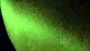 Amateurs engage in exciting sex in the car!