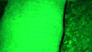 fucking the busty hot woman with big natural tits and ass.