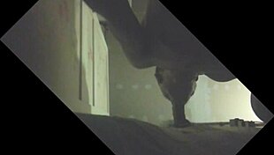 Stallion with full balls gets sucked in glory hole