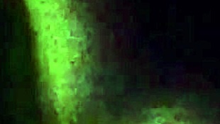 Amateurs engage in exciting sex in the car!