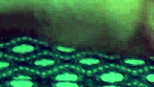 Couple Enjoys Amateur Moments Together