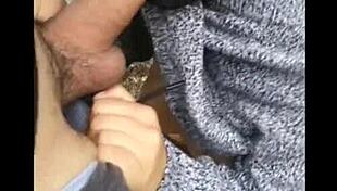 amateur milfs perform public blowjobs in outdoor locations