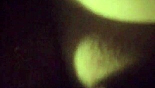 fat ebony bbw gets pounded bareback close up