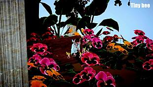 Exploring My Imagination in Fantasy Worlds