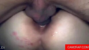 Amateur Anal Masturbation Intense Session