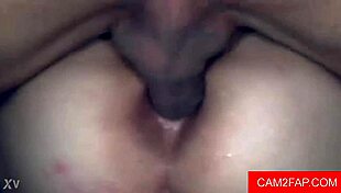 Amateur Anal Masturbation Intense Session