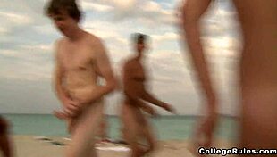 What wild adventures await on this spring break holiday with young amateurs?