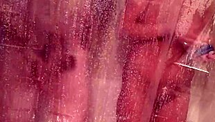 mandeezy4u2 showers with brunette tits and masturbation