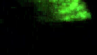 I enjoy doggystyle with fat ass