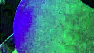 Check out this compilation of amateur wives taking big cocks in their asses.