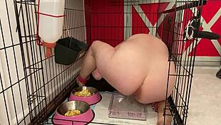 Kurva Fuckpig Justafilthycunt v ponižující humiliaci s pitím moči v kleci a žraním z mísy