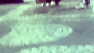 Tasty Brunette with Legs at Bus Stop