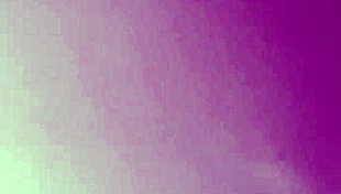 Ebony girl gives sloppy blowjob in the car