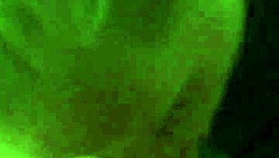 Wife Performing Oral Act in Intimate Setting